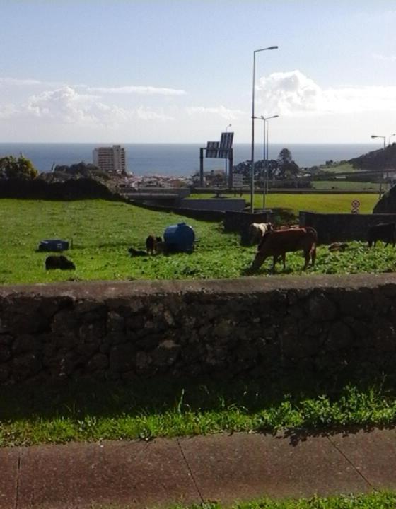 Appartamento Ocean View Flat Ponta Delgada Esterno foto